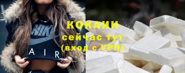 бошки Бородино
