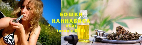 прущие грибы Богданович