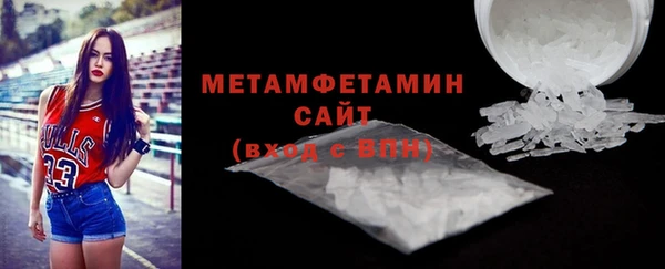 прущие грибы Богданович