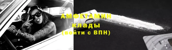 прущие грибы Богданович
