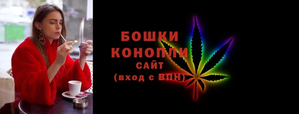 прущие грибы Богданович