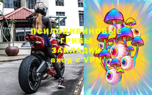 бошки Бородино