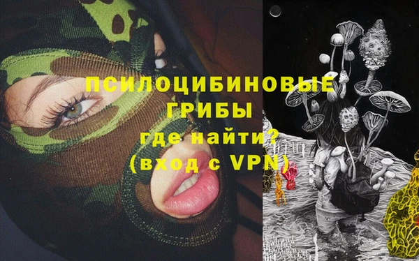 бошки Бородино