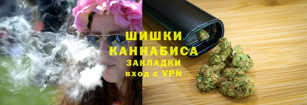 прущие грибы Богданович