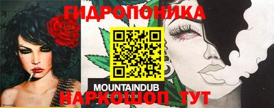 прущие крисы Бийск